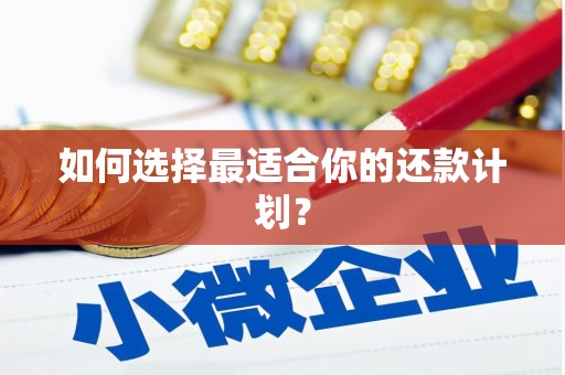 连云如何选择最适合你的还款计划？