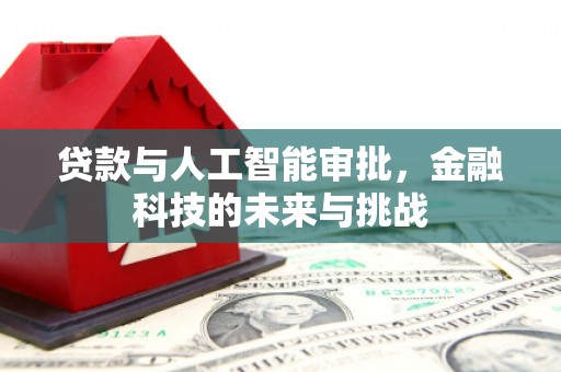 连云贷款与人工智能审批，金融科技的未来与挑战