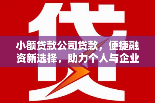 连云小额贷款公司贷款，便捷融资新选择，助力个人与企业成长