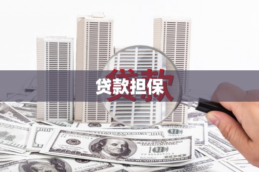 连云贷款担保
