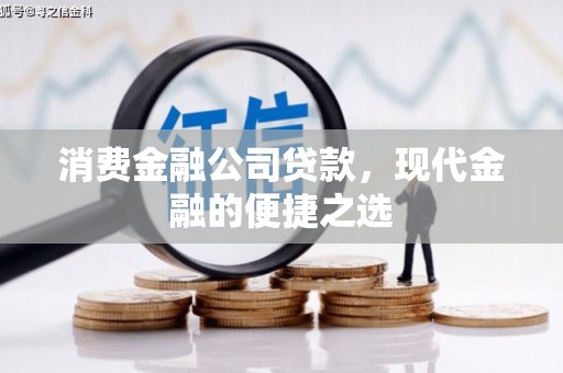 连云消费金融公司贷款，现代金融的便捷之选