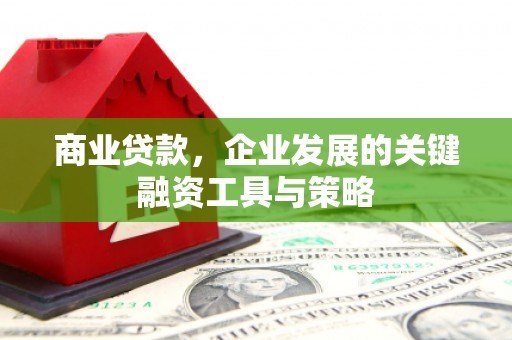 连云商业贷款，企业发展的关键融资工具与策略