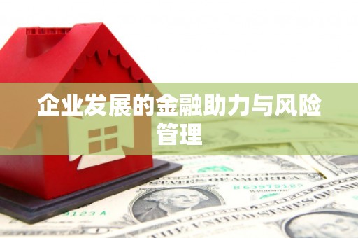 连云企业发展的金融助力与风险管理