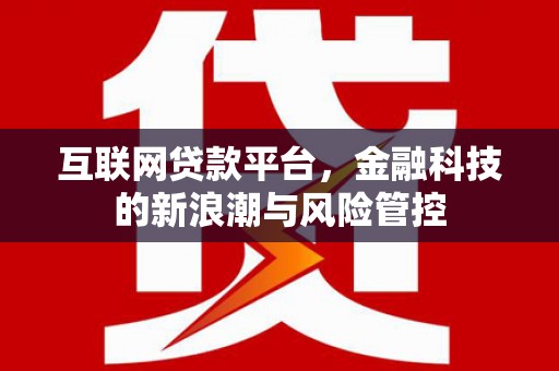 连云互联网贷款平台，金融科技的新浪潮与风险管控