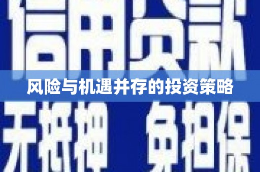 连云风险与机遇并存的投资策略