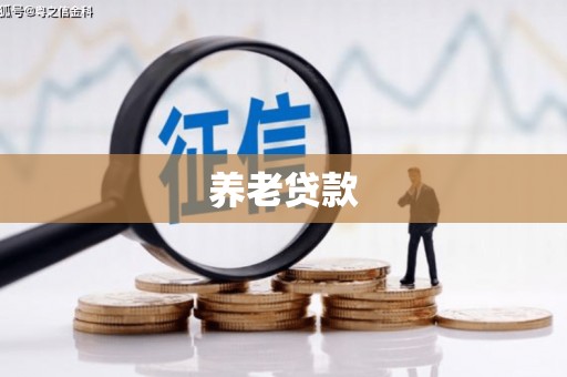 连云养老贷款