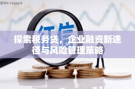 连云探索税务贷，企业融资新途径与风险管理策略