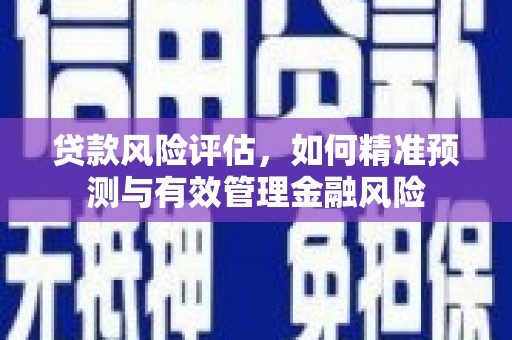 连云贷款风险评估，如何精准预测与有效管理金融风险