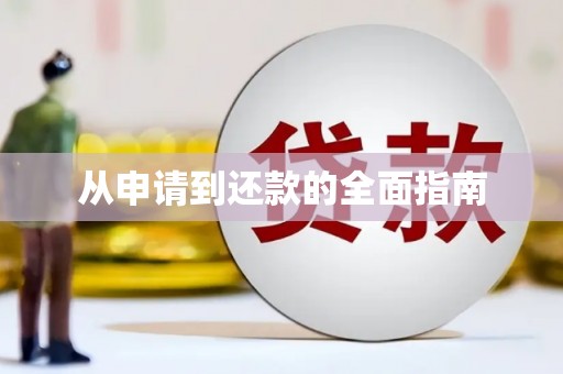 连云从申请到还款的全面指南