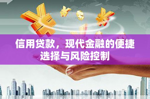 连云信用贷款，现代金融的便捷选择与风险控制