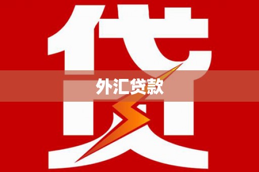 连云外汇贷款
