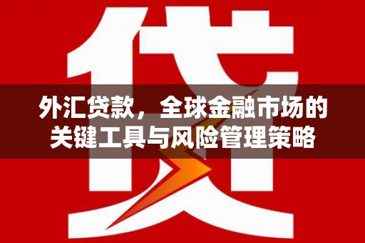 连云外汇贷款，全球金融市场的关键工具与风险管理策略