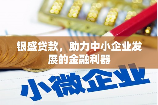 连云银盛贷款，助力中小企业发展的金融利器