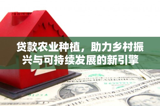 连云贷款农业种植，助力乡村振兴与可持续发展的新引擎