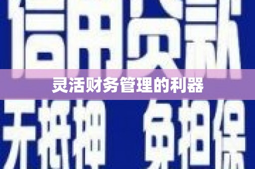 连云灵活财务管理的利器