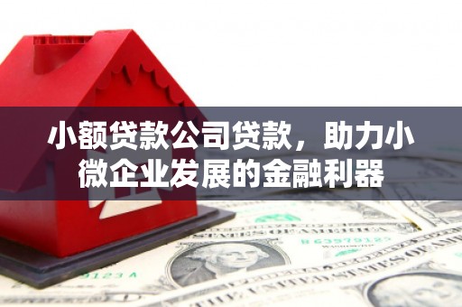 连云小额贷款公司贷款，助力小微企业发展的金融利器