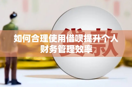 连云如何合理使用借呗提升个人财务管理效率
