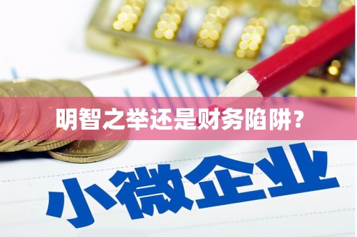 连云明智之举还是财务陷阱？
