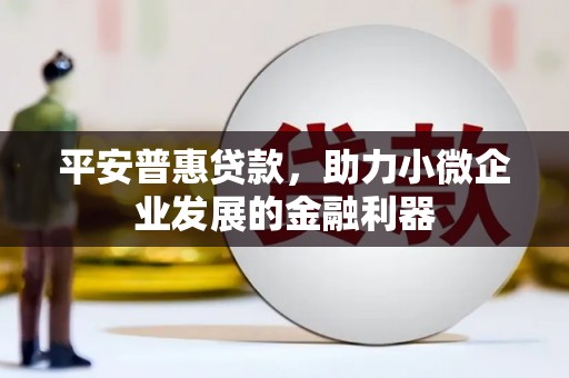 连云平安普惠贷款，助力小微企业发展的金融利器
