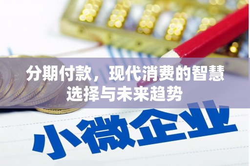 连云分期付款，现代消费的智慧选择与未来趋势