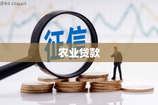 连云农业贷款