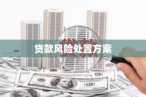 连云贷款风险处置方案