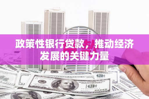 连云政策性银行贷款，推动经济发展的关键力量