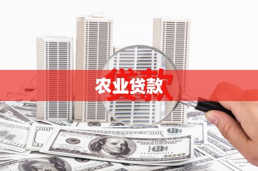 连云农业贷款