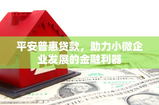 连云平安普惠贷款，助力小微企业发展的金融利器