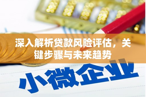 连云深入解析贷款风险评估，关键步骤与未来趋势
