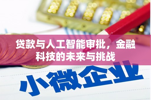 连云贷款与人工智能审批，金融科技的未来与挑战