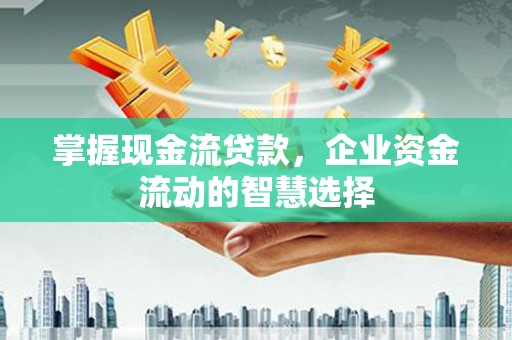 连云掌握现金流贷款，企业资金流动的智慧选择