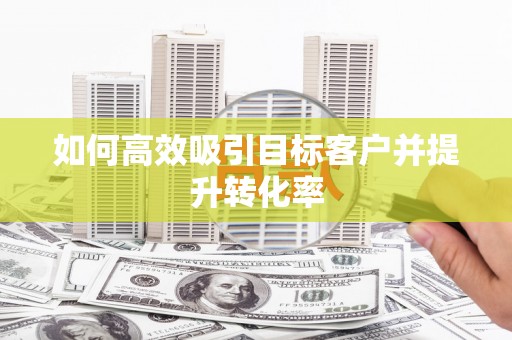 连云如何高效吸引目标客户并提升转化率