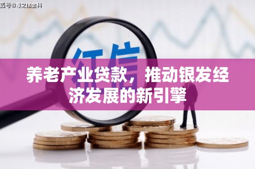连云养老产业贷款，推动银发经济发展的新引擎