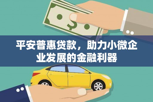 连云平安普惠贷款，助力小微企业发展的金融利器