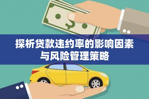 连云探析贷款违约率的影响因素与风险管理策略