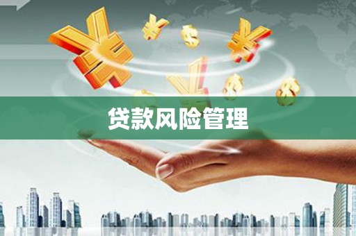 连云贷款风险管理