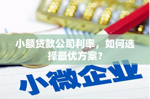连云小额贷款公司利率，如何选择最优方案？
