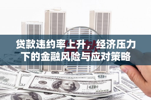 连云贷款违约率上升，经济压力下的金融风险与应对策略