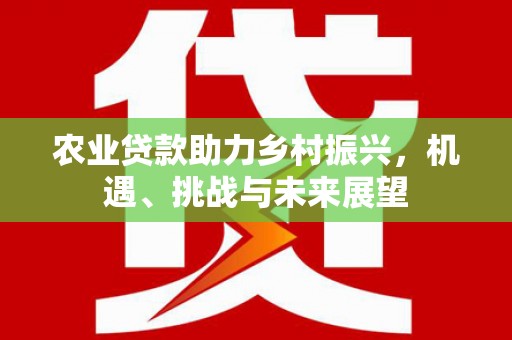 连云农业贷款助力乡村振兴，机遇、挑战与未来展望