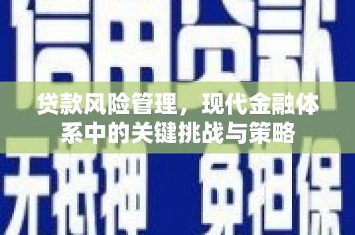 连云贷款风险管理，现代金融体系中的关键挑战与策略
