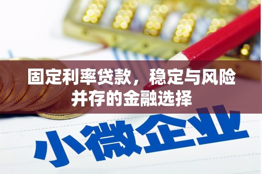 连云固定利率贷款，稳定与风险并存的金融选择