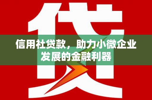 连云信用社贷款，助力小微企业发展的金融利器