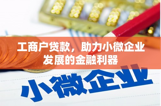 连云工商户贷款，助力小微企业发展的金融利器