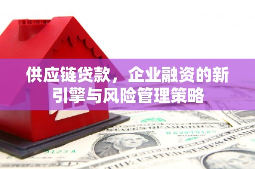 连云供应链贷款，企业融资的新引擎与风险管理策略