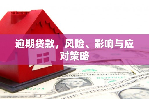 连云逾期贷款，风险、影响与应对策略