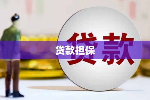 连云贷款担保