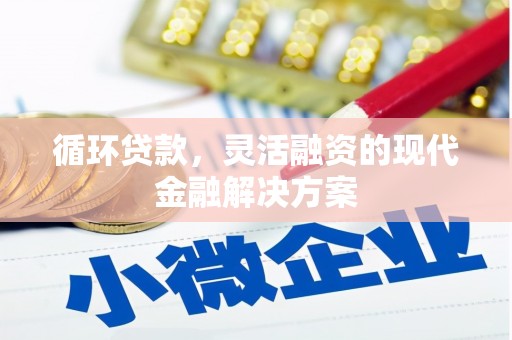 连云循环贷款，灵活融资的现代金融解决方案