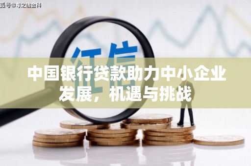 连云中国银行贷款助力中小企业发展，机遇与挑战