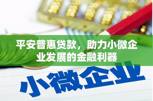 连云平安普惠贷款，助力小微企业发展的金融利器